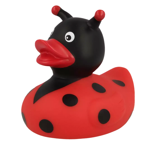 Ladybug Ladybird Spotty Duck Shop UK